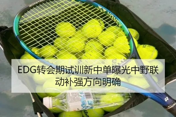 EDG转会期试训新中单曝光中野联动补强方向明确（NBA）